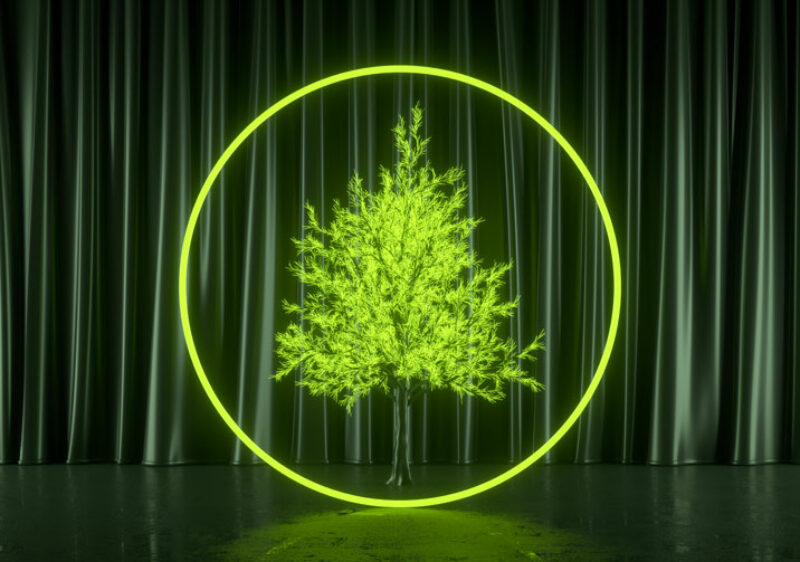 Baum Die Umwelt mit nachhaltigen Huber Signage Lichtlösungen schonen